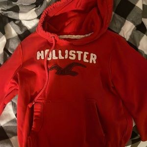 Holliseter sweatshirt